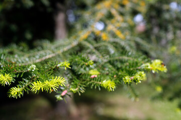 Daily life.  France.