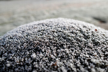 Daily life.  France.