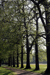 Fototapeta premium Daily life. France.