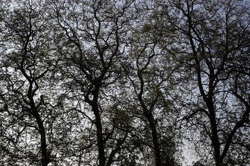 Daily life.  France.