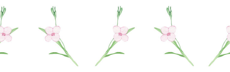 Naklejka na ściany i meble Watercolour floral illustration. DIY blush pink flower border - for bouquets, wreaths, wedding invitations, anniversary, birthday, postcards, greetings.