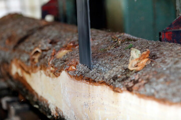 Daily life.  France.