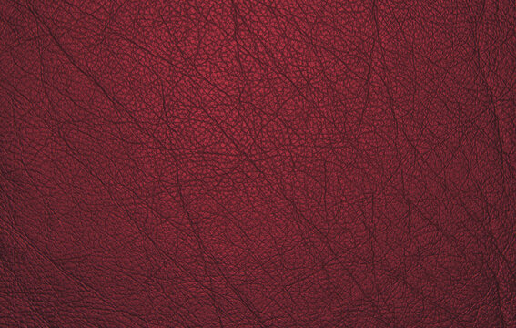 Kuhdreck Bilder Durchsuchen 35,062 Archivfotos, und