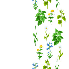 Seamless pattern with meadow flowers. Herbs and cereal grass. Beautiful decorative spring plants.