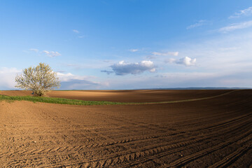 Fototapeta premium Agricultural land ready for spring