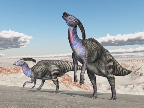 Dinosaurier Parasaurolophus in einer Landschaft