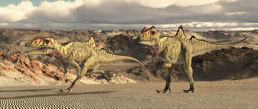 Dinosaurier Concavenator in einer Wüstenlandschaft