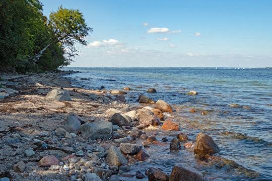 Wilde K&uuml;ste mit Strand an der Flensburger F&ouml;rde der Ostsee bei Westerholz, Schleswig-Holstein, Deutschland