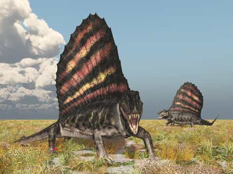 Pelycosaurier Dimetrodon in einer Landschaft