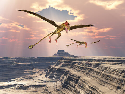 Flugsaurier Peteinosaurus über einer Canyon Landschaft
