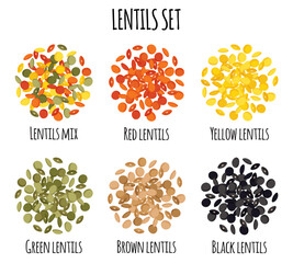 Lentils set with Red, Yellow, Green, Brown and Black lentils.
