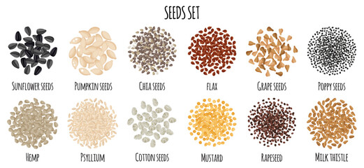Seeds set with Sunflower, Pumpkin, Chia, Flax, Grape, Poppy, Hemp, Psyllium, Cotton, Mustrad etc.