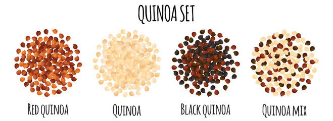 Quinoa set with Red, White, Black and mix quinoa.