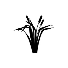 Cattail icon vector. reeds illustration sign. swamp symbol. grass logo.