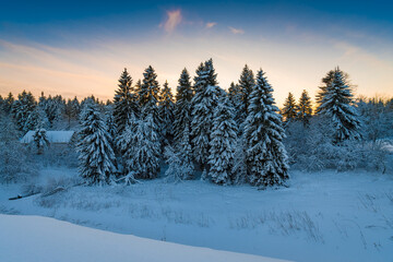 Bäume und Schnee Landschaft im Winter - Sonnenuntergang