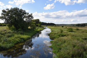 Fototapeta na wymiar woda, rzeka Supraśl, krajobraz, drzewa, lato, zieleń, bory, potok, podlaskie, 