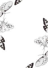 Line art floral frame with butterflies, moths and wildflowers