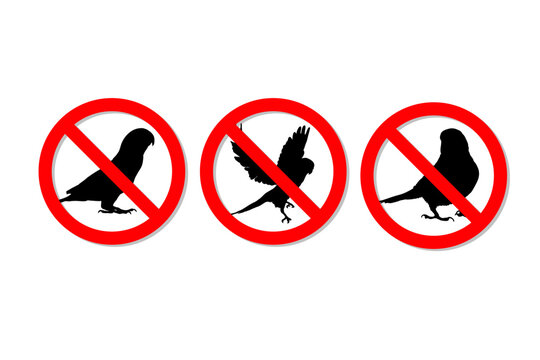 Warning sign no love birds vector design