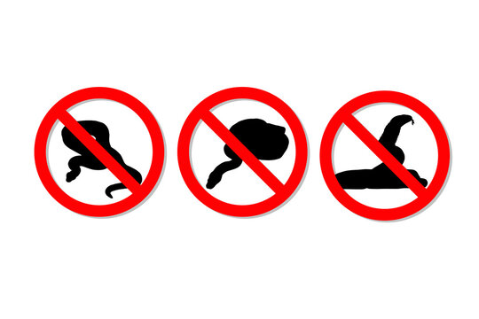Warning sign no snakes vector design