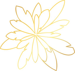 Golden grass, plant top view. Element for design logo, project. Tree set for architectural, landscape design. Gold graphic chic floral object