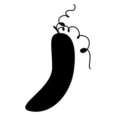 cucumber icon black silhouette
