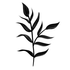Tropical wildflower. Flower black silhouette isolated.