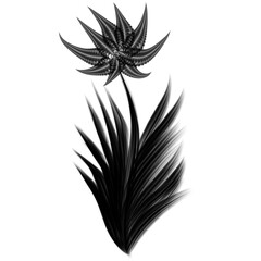 Fototapeta na wymiar Tropical wildflower. Flower black silhouette isolated.