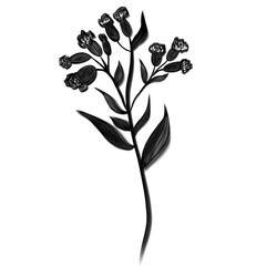 Tropical wildflower. Flower black silhouette isolated.