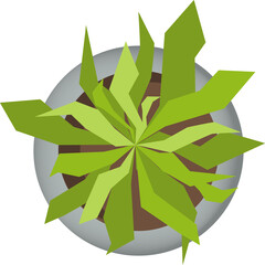 Plant in pots top view for plan of green spaces. Colored plant  in pot for interior, architectural and landscape design.  illustration. Element for design project