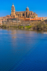 New and Old Cathedral of Salamanca, Gothic Renaissance Baroque Style,16th-18th century, Salamanca, UNESCO World Heritage Site, Castilla y León, Spain, Europe