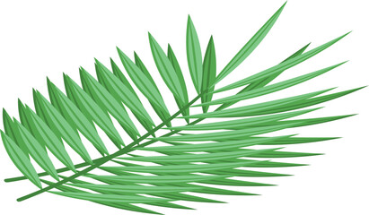 Fototapeta premium Palm leaf icon isometric vector. Oil food. Fruit seed