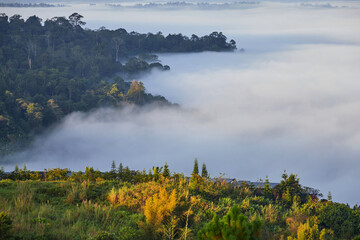 Fog in the mountains at Khao Kho in Thailand