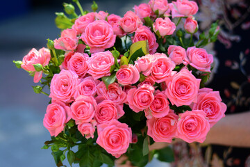 pink roses in hand banner