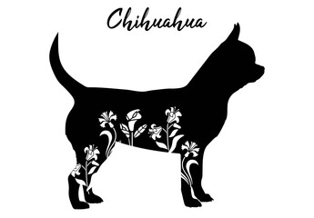 Chihuahua in floral design