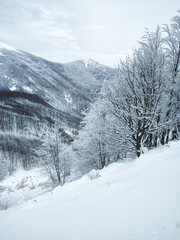 Escursione invernale nel bellissimo appenino italiano innevato. Ciaspolata sui monti innevati in Italia.