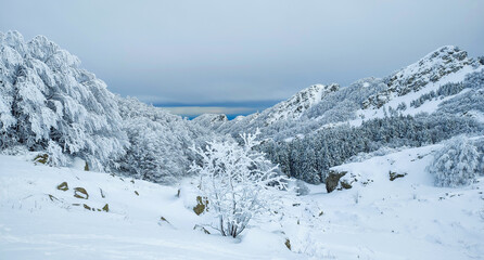 Fototapeta Escursione invernale nel bellissimo appenino italiano innevato. Ciaspolata sui monti innevati in Italia. obraz