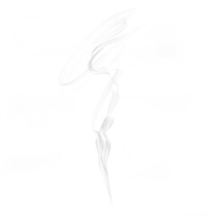 white smoke transparent © Dualpat