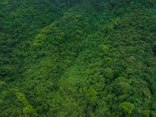 Aerial view of beautiful tropical forest mountain landscape in summer