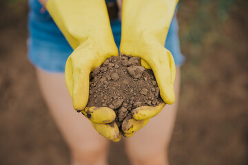 Close photo oh female hands in yellow rubber garden gloves holding the handful of soil; fertile...