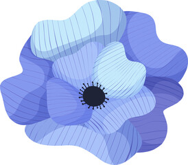 primrose blue