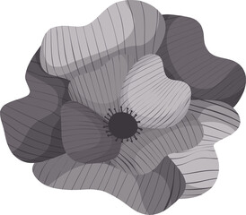primrose grey