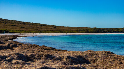 panorama of lucky bay in cape le grand national park at sunset; the famous kangaroo beach in western australia near esperance