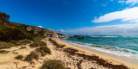 a panorama of paradise bay on rottnest island near perth in western australia; the beautiful bays and wild landscape of the island famous for its quokka