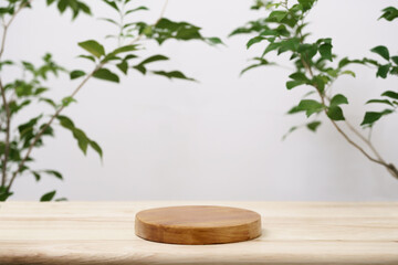 Wood podium tabletop floor with tree branch green leaf on white background.Beauty cosmetic and healthy natural product placement pedestal platform showcase stand display,spring or summer concept. - obrazy, fototapety, plakaty