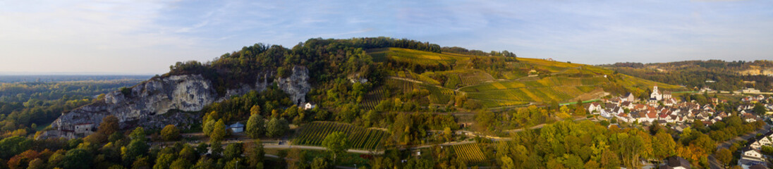 Weinberge Reben Winzer