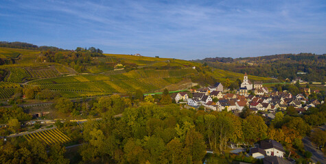 Weinberge Reben Winzer