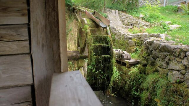 Old Watermill Wheel With Green Moss And Green-stuff