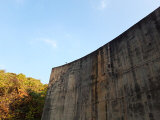 vintage concretewall fall trees image_-_