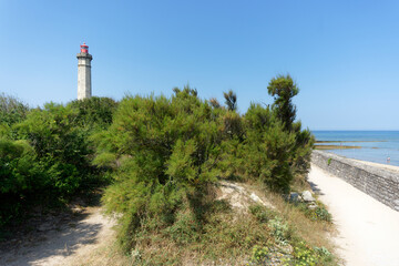 Phare des baleines lighthouse  in île de Ré coast 