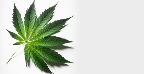 Cannabis Leaf Medicinal Marijuana CBD Plant Illustration Banner, Generative AI